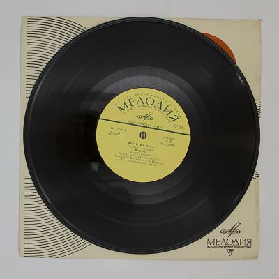 Вести из леса. Январь, февраль