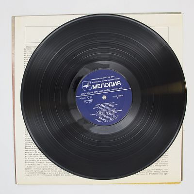 Альт. Виоль Д'Амур