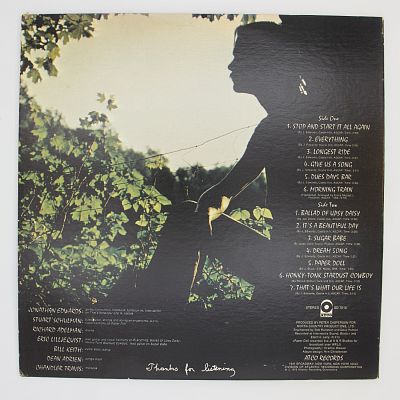 Honky-Tonk Stardust Cowboy