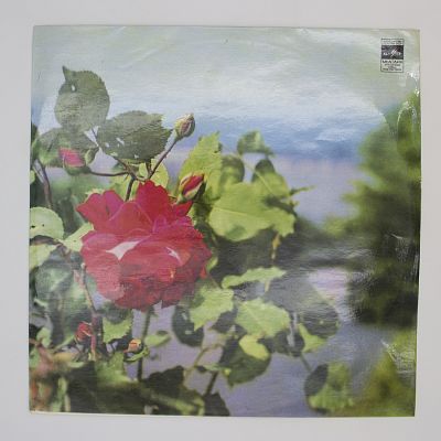 "Тополиный пух" и другие песни