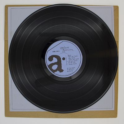 Muse