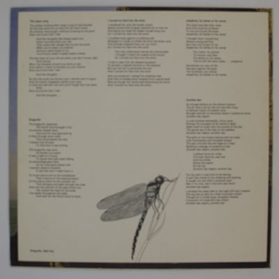Dragonfly