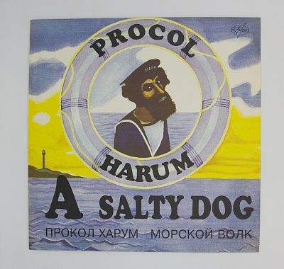 A Salty Dog