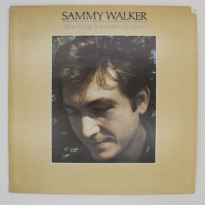 Blue Ridge Mountain Skyline