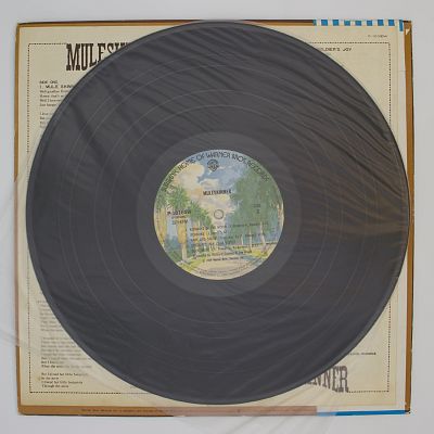 Mule Skinner Blues