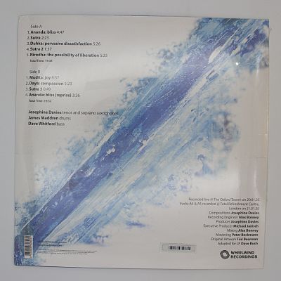 Satori: How Can We Wake?