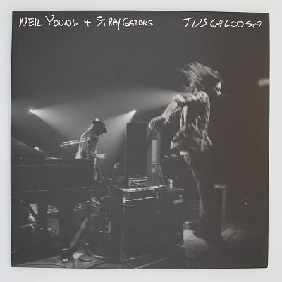 Stray Gators – Tuscaloosa