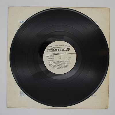 Эхо Первой Любви