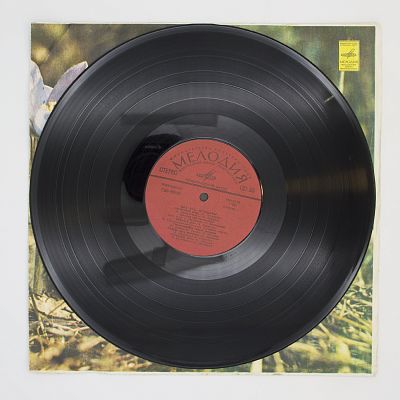 Соловьиная Роща и другие песни