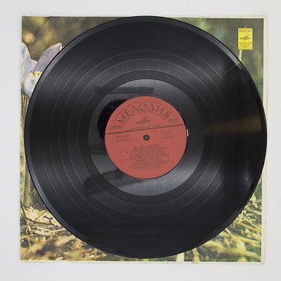 Соловьиная Роща и другие песни