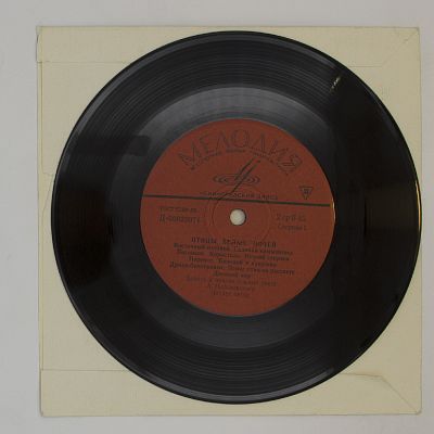 Птицы белых ночей. Говорящие птицы