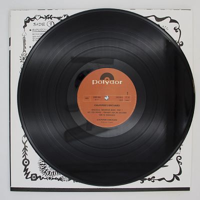 Banjocul