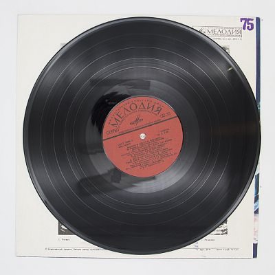 Яблони В Цвету