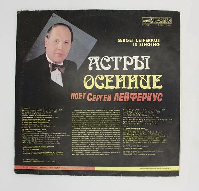 Астры Осенние
