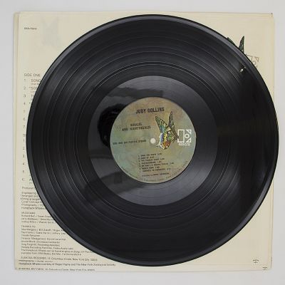 Whales And Nightingales