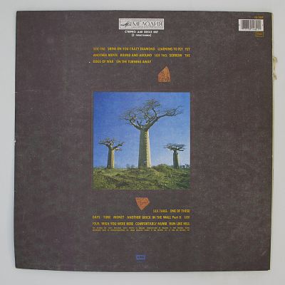 Delicate Sound Of Thunder