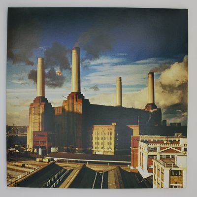 Animals