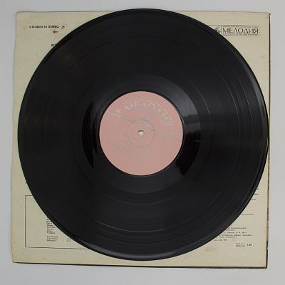 Органы Эстонии - 10
