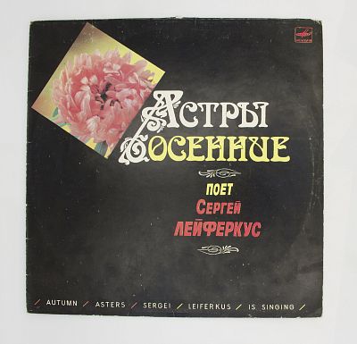 Астры Осенние