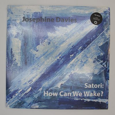 Satori: How Can We Wake?