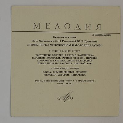 Птицы белых ночей. Говорящие птицы