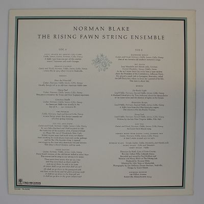 The Rising Fawn String Ensemble