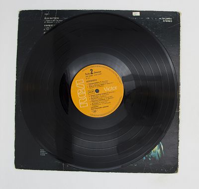 Kotidisco