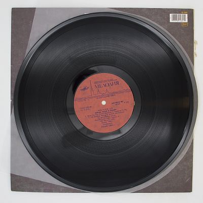 Delicate Sound Of Thunder