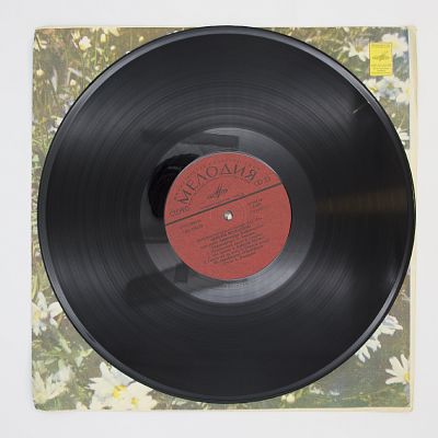 Поет Песни Александра Флярковского