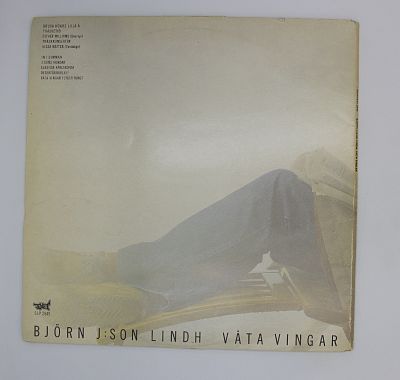 Vata Vingar