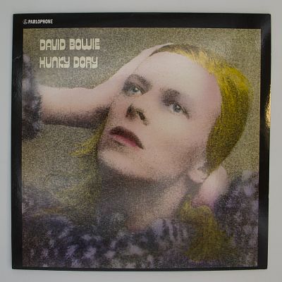 Hunky Dory