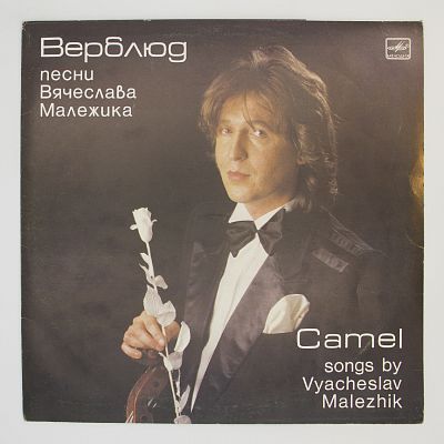 Верблюд