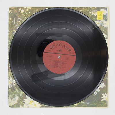 Поет Песни Александра Флярковского