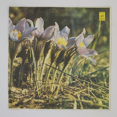 Соловьиная Роща и другие песни