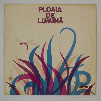 Ploaia De Lumină