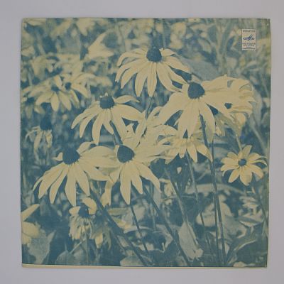 В Ритме Танца