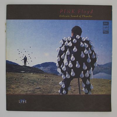 Delicate Sound Of Thunder