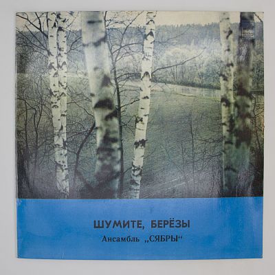 Шумите, Березы