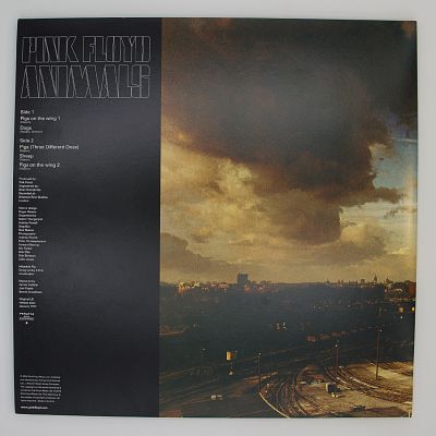 Animals