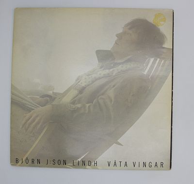 Vata Vingar